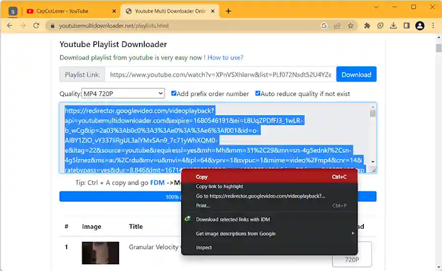 copy full youtube playlist videos download url
